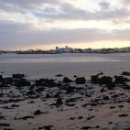 바다목장식당 이미지