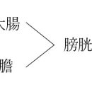 갑상선기능저하증 여성 만성 피로, 무기력, 방광염, 불안증 등에 가미소요산, 쌍화탕가미방, 청심보혈탕 치험례. 기사 2026.6.15. 이미지