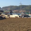 창무삼거리 이미지