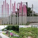 영도조내기고구마역사기념관 이미지