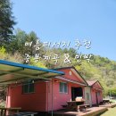 365민박 | 미리 가본 여름 피서지 중봉계곡 민박