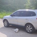 홍두깨책방 북스테이 이미지