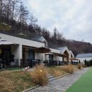 메리도그하우스2 이미지