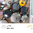 솥쟁이 이미지