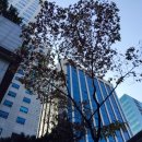 구름한점 이미지