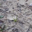 은곡2호 이미지