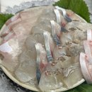 11215-중곡3-200 | [중곡동 맛집] 중곡제일시장 왕도매회시장 횟집 스끼다시 광어 방어맛집 예약불가 현장 웨이팅 포장