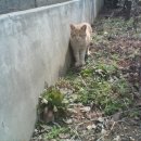 세차잘하는남자들 이미지