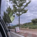 돈토가마솥돼지국밥