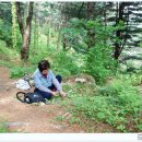 축령산 히든벨리 이미지