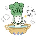 석관약국 이미지
