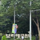 사)안양시장애인단체총연합회 | 비 오는 날 더 빛난 축제｜찬란하다 보라매공원 2025 장애인문화예술축제 A+ Festival 후기