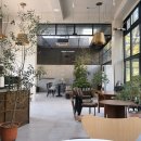 설 카페 이미지