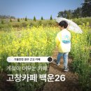 백운26 : 고창 청보리밭 가기 전! 광주근교 감성카페