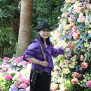 지리산허브벨리 이미지