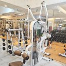 토니바디 휘트니스 이미지