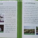 뚝딱뚝딱 정크아트 이미지