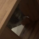 푸르다쉼터