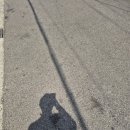 영이네 | 사가정역 혼밥 백반집 영이네밥상 제육볶음 리얼 후기 (동네 어르신 술집)