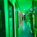 케이스타코인노래연습장 이미지