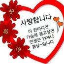 내게온 봄 이미지