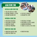 청산푸른환경 | 이게 바로 완도의 힘! 2025 방문의 해, 축제로 시작한다.