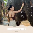 엘리펀트샤워 | 푸켓 코끼리 보호소 ❛엘리펀트 생츄어리❜ 코끼리 먹이 주기&amp;샤워 내돈내산 체험 후기