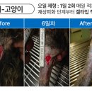 칠성약국 이미지