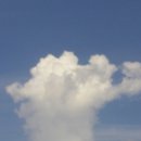 주식회사 엘림 이미지