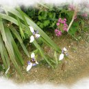 만수농장 이미지