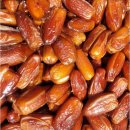 나무메드 이미지