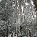 물영아리오름 이미지