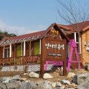 연어의추억 이미지