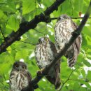 함양군청 이미지