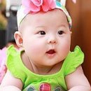 청보리 농장 네이버블로그