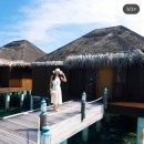 우당탕탕 사고뭉치 이미지