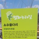 임진적벽길 이미지