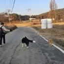 마안산 등산로 화장실 네이버블로그