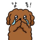 탐앤탐스 중앙대점