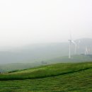 가리왕산목장 이미지