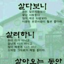 60대부터는 꿀마늘로 회춘 이미지