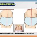 강선애댄스피트니스