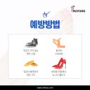 레푸스 범어점 네이버블로그