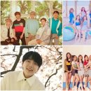 드림 P&T 이미지