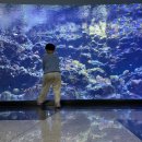 오션 아레나 이미지