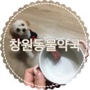 새가야약국 이미지