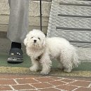 더치앤빈 가산롯데IT캐슬점
