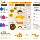 평생교육 배달강좌 2기-요가(2) | 2025.2 대한비만학회 연수강좌후기