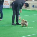 No.1 POM 이미지