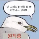 미자씨김밥 | 개강 전까지 머햇는지 알려줌